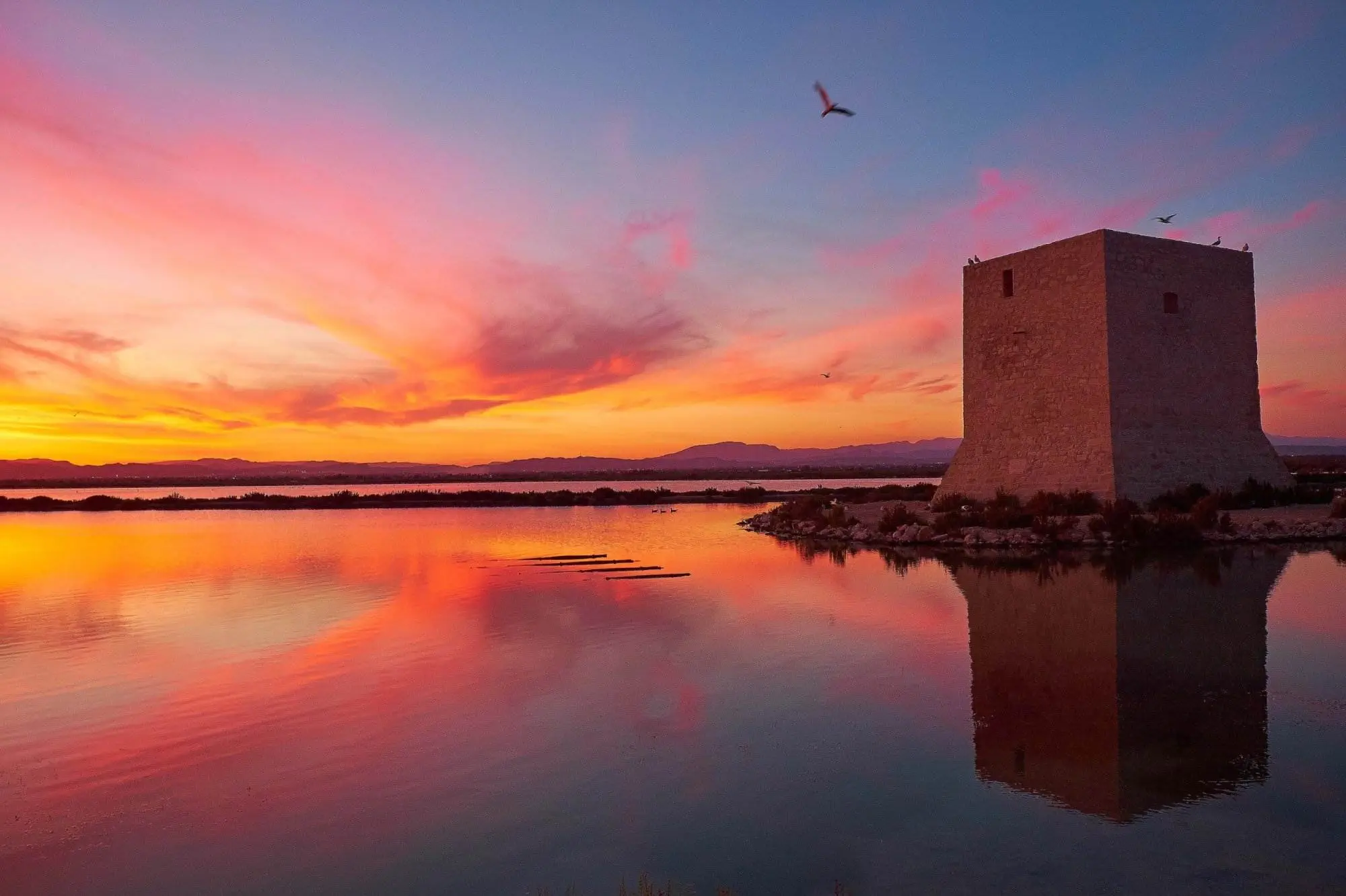 El parque natural de las salinas de santa pola